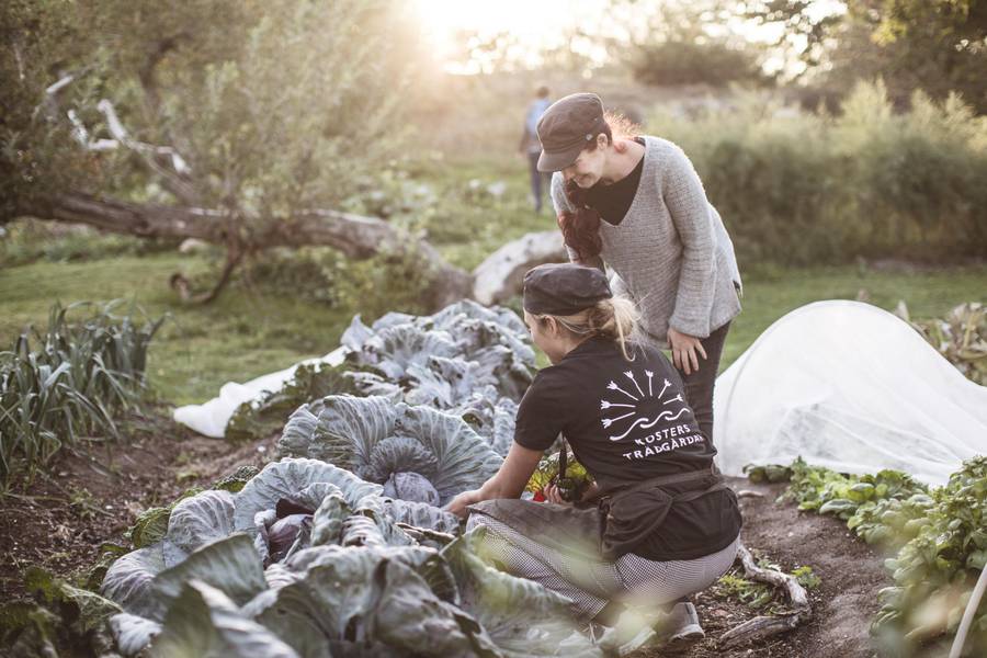 Gardening