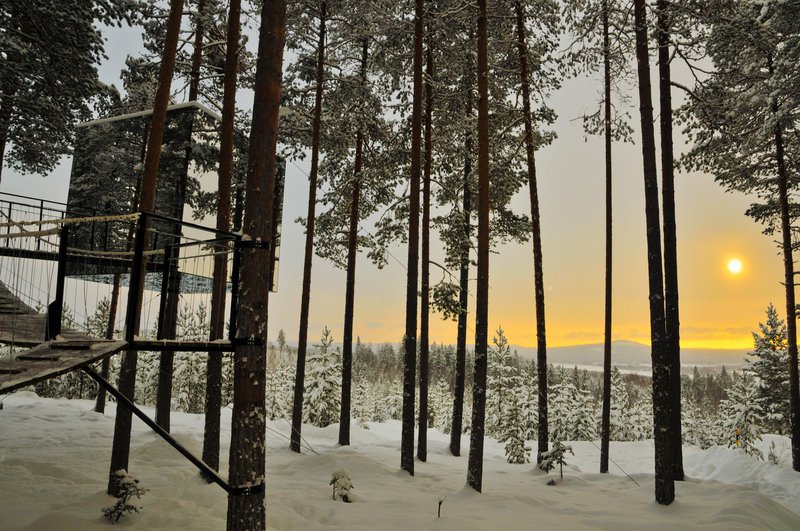 Tree hotel
