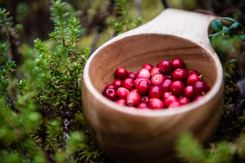 Lingonberries