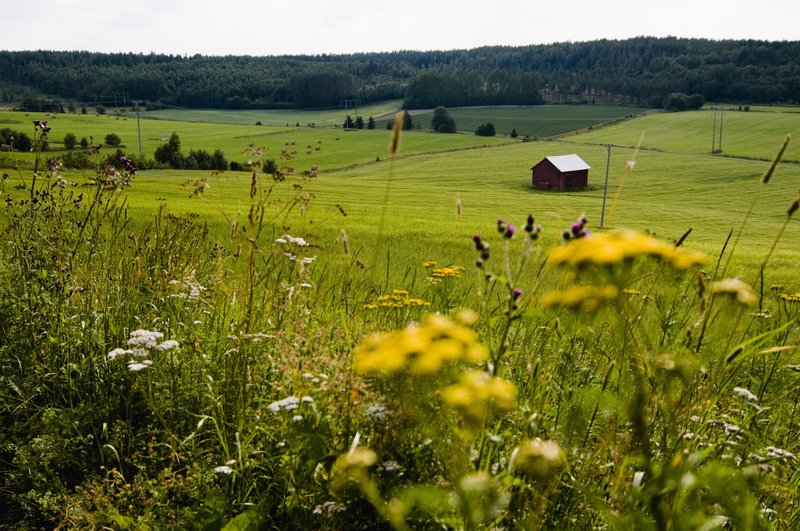 Agricultureel land