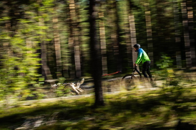 Fun ride in nature in Skellefteå