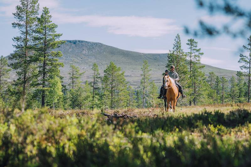 Horse back riding in Idre, Dalarna