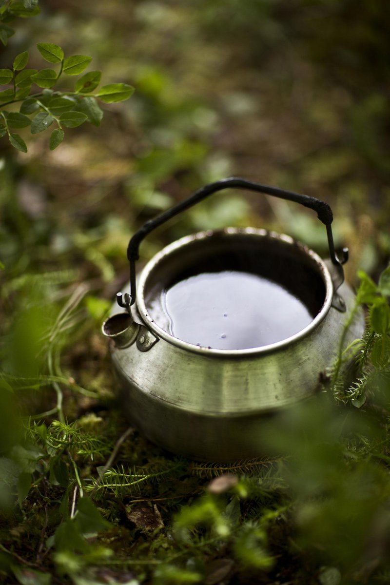Outdoor cooking