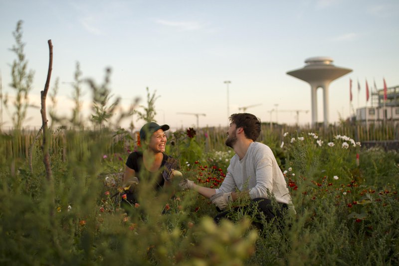 Urban farming