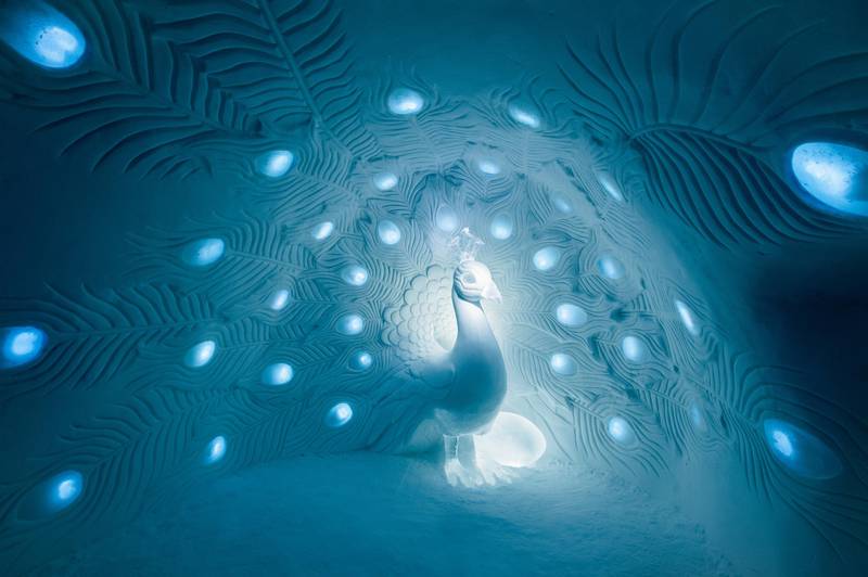 Ice sculptures