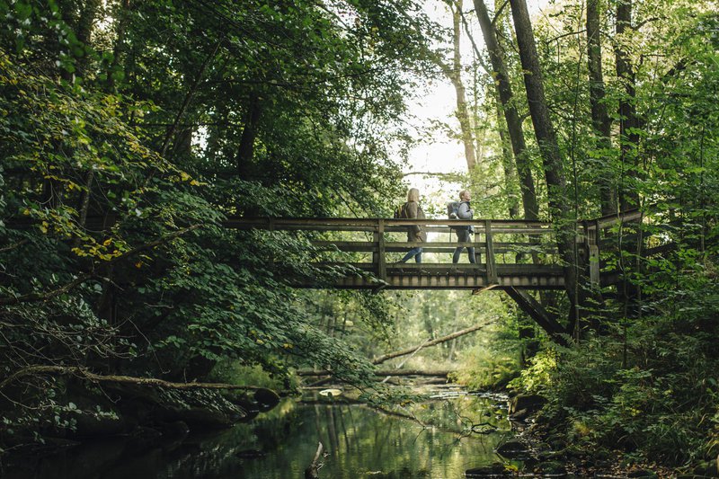 Skåneleden trail