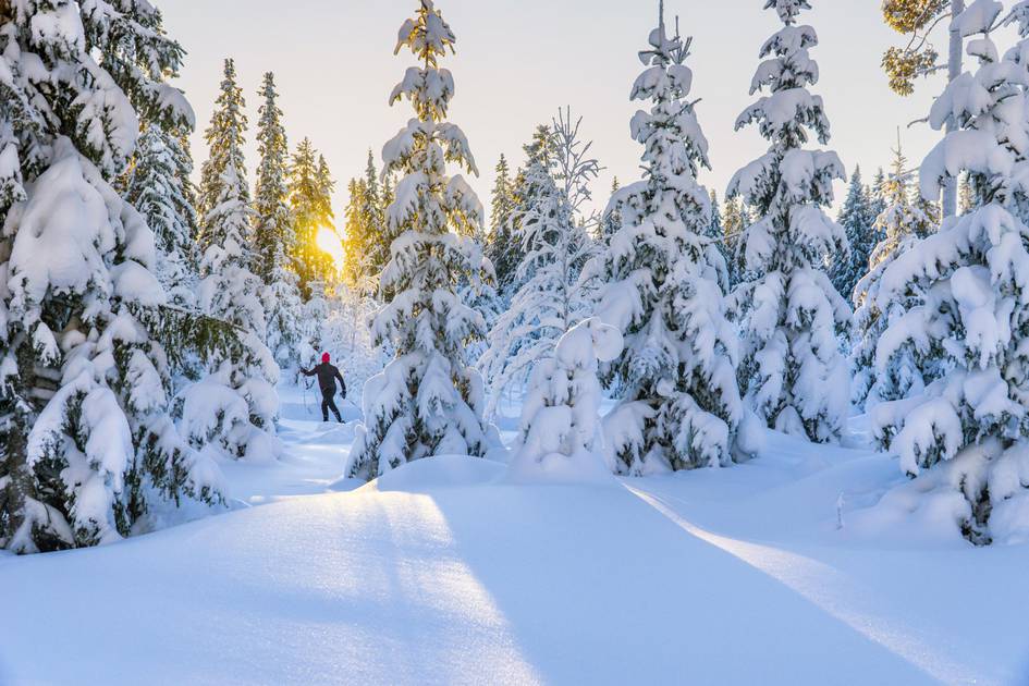 Crosscountry skiing in Sweden find tracks near you Visit Sweden