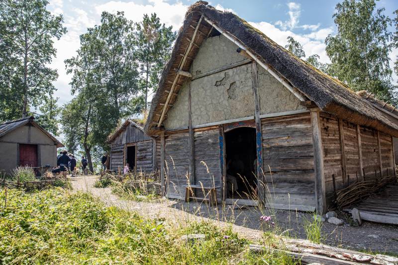 Village Viking de Birka