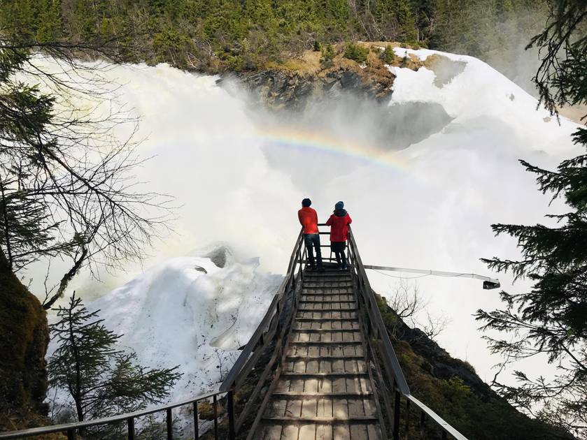 Les chutes d'eau en Suède des cascades impressionnantes aux filets d