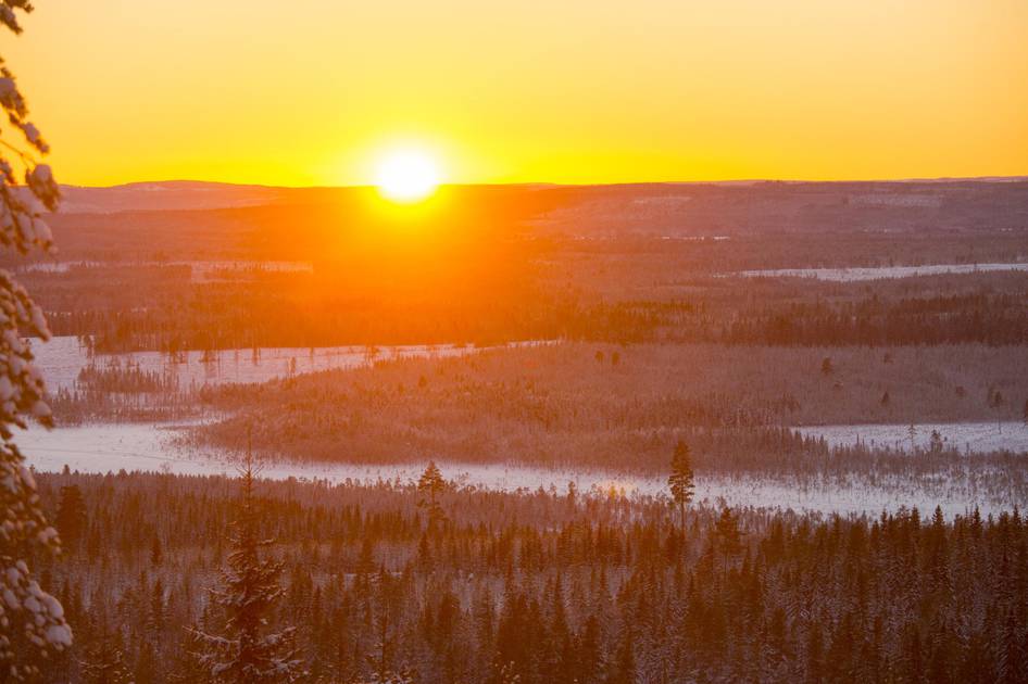 Welkom in Umeå | Visit Sweden
