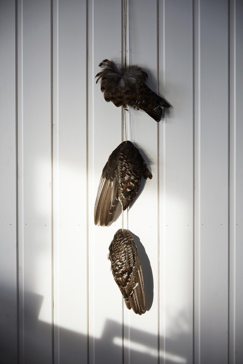 Detail from restaurant Hävvi in Jämtland