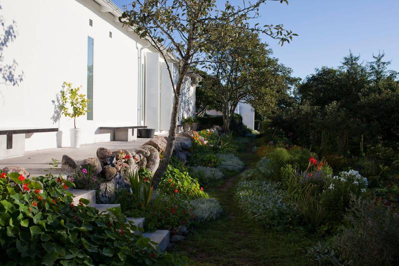 The Cherry Garden, Gotland