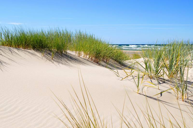 Beach on Gotland